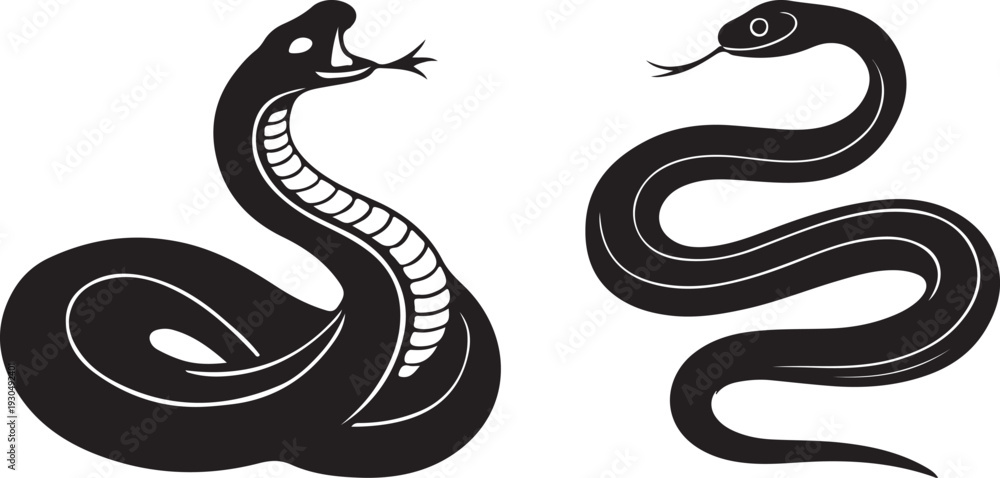 Fototapeta premium black and white snake