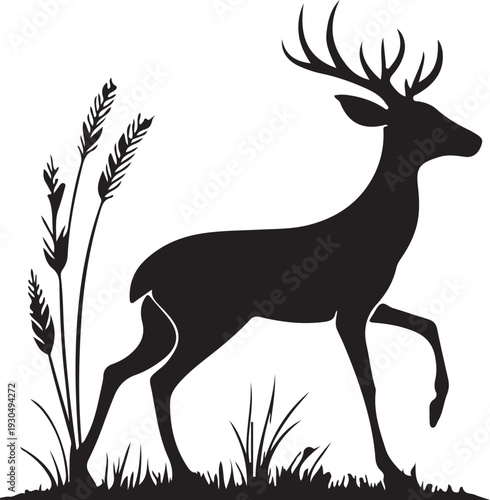 silhouette of a deer