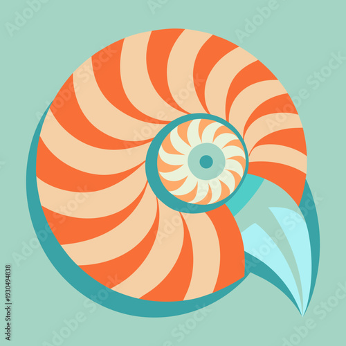 Nautilus Shell Vector Illustration