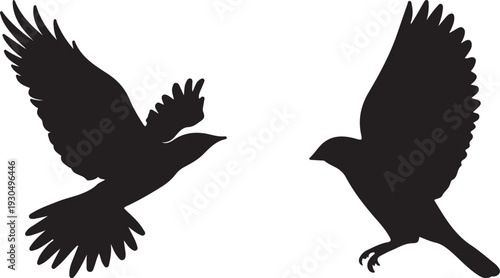eagle silhouette vector
