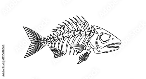 Flat 2D vector illustration of a fish skeleton, a precise anatomical icon perfect for educational materials, scientific diagrams, and marine biology projects