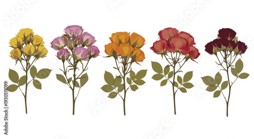 Set of 5 Dried Rose Sprigs in Yellow, Pink, Orange, Red, and Burgundy with Leaves