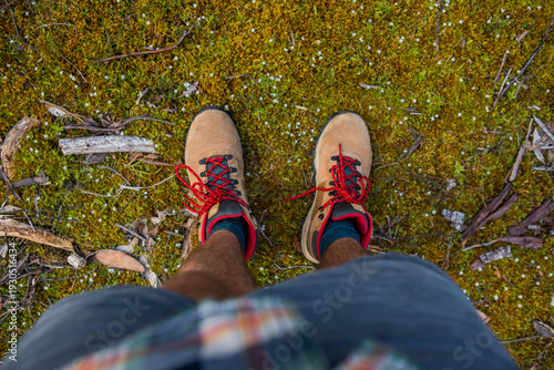 Hiker Standing on Mossy Forest Floor, Tasmania, Australia