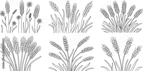 Wheat Grass and Flowers Line Drawings