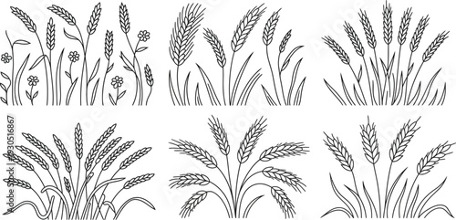 Wheat Grass and Flowers Line Art Illustrations