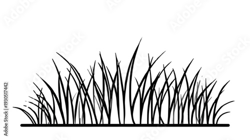 grass with black and white colors