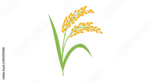 Rice Plant with Golden Grains Illustration.