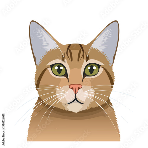 Cat portrait with green eyes and brown and tan fur