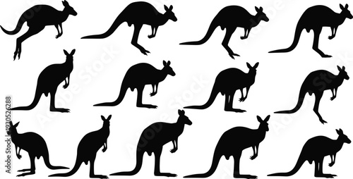 Black Kangaroo Silhouettes Set, Collection of Flat Australian Wildlife Icons, Vector Illustrations of Jumping and Standing Wallabies for Nature Design,