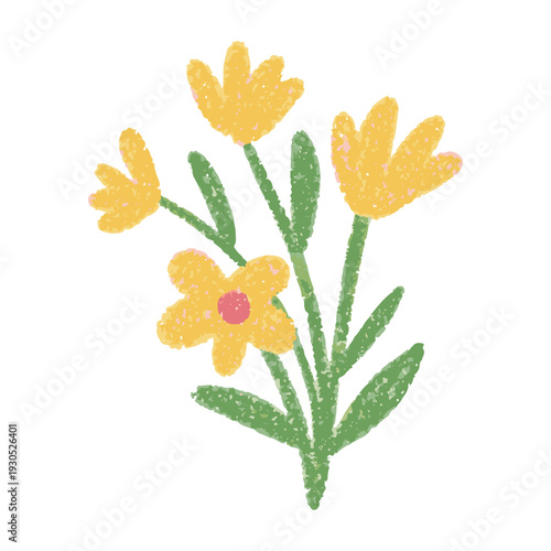Crayon style yellow flowers and green leaves isolated, hand painted floral sketch on white background