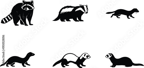 Raccoon, badger and ferret silhouette vector set. Wild mustelid and forest mammal collection in black. Predator animal icons isolated for wildlife logo and nature branding.