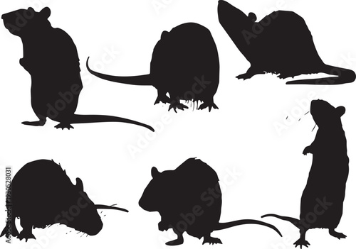Rat silhouette vector collection. Black rodent set in standing and feeding poses. Pest animal icons isolated for biology education, logo design and wildlife graphics.