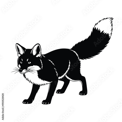 A black cat with white markings standing and looking sideways in a vector illustration