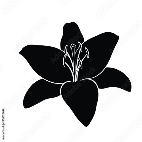 Black flower illustration with white outline on transparent background viewed from above