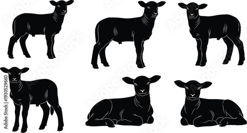 Black Lamb Silhouettes Set, Collection of Cute Baby Sheep Standing and Lying Down, Vector Illustrations for Farm Animal and Nature,