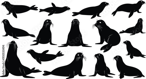 Black Seal and Sea Lion Silhouettes Set, Collection of Flat Marine Animal Icons, Vector Illustrations of Swimming and Resting Pinnipeds,