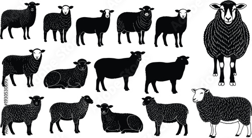 Black Sheep Silhouettes Set, Collection of Flat Domestic Livestock Icons, Vector Illustrations of Ewes Standing and Lying Down for Agriculture Design,
