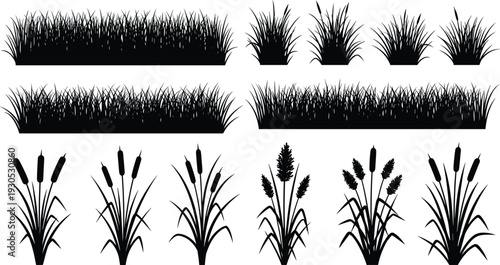 Black Silhouette of Marsh Grass and Bulrushes Set, Vector Illustration of Wetland Plants and Reeds for Nature Pond and Riverbank,
