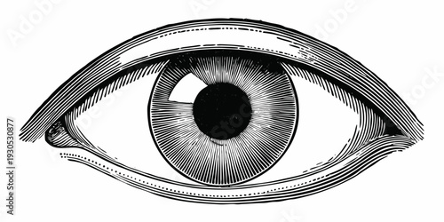 Tableau sur toile Detailed engraving of a human eye with intricate line work