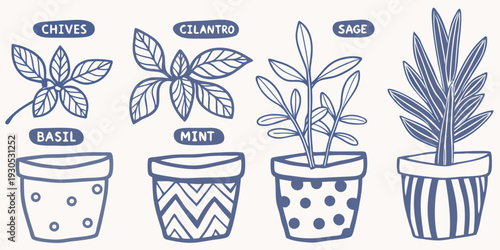Illustration of potted herbs chives cilantro sage basil and mint