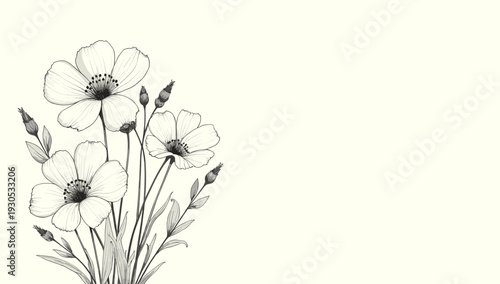 A beautiful black and white illustration of wildflowers evokes a sense of peace and natural elegance. Perfect for backgrounds, designs, or representin