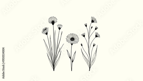 A calming, neutral beige background creates a clean and simple aesthetic, perfect for showcasing text, graphics, or products. It evokes a sense of tra