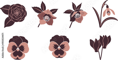 Collection of stylized floral illustrations featuring camellia, hellebore, pansy, snowdrop, and cyclamen