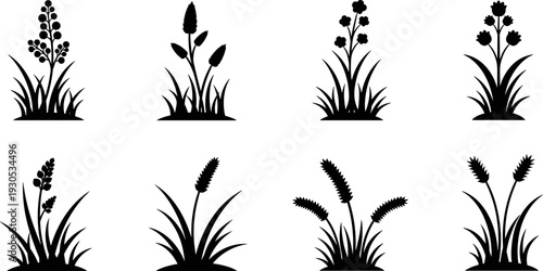 Collection of black silhouette icons representing various types of grasses and wildflowers