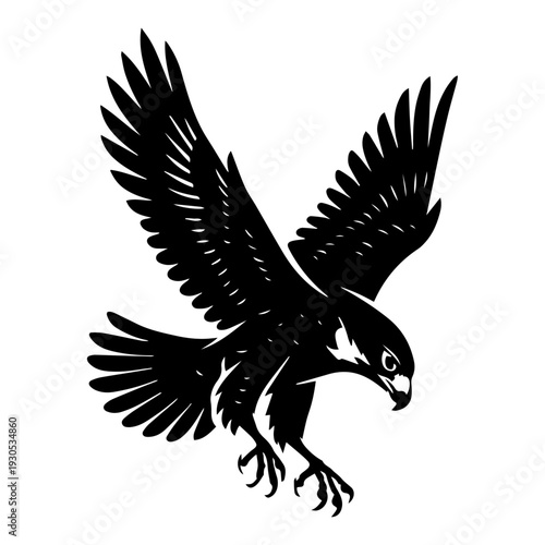 Diving Falcon Raptor Illustration