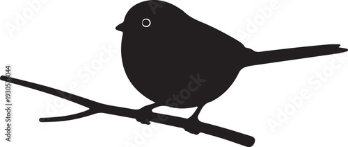  Long-tailed Tit in silhouette on white background.