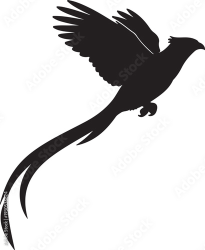  Resplendent Quetzal in silhouette on white background.