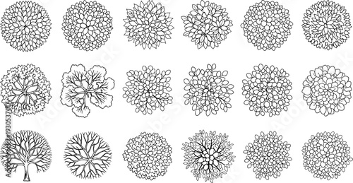 Collection of detailed tree top view silhouettes, hand drawn forest canopy elements isolated on white background for landscape design