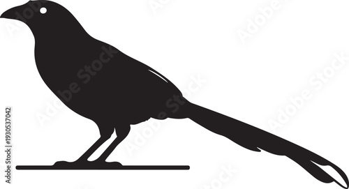 Resplendent Quetzal in silhouette on white background. 