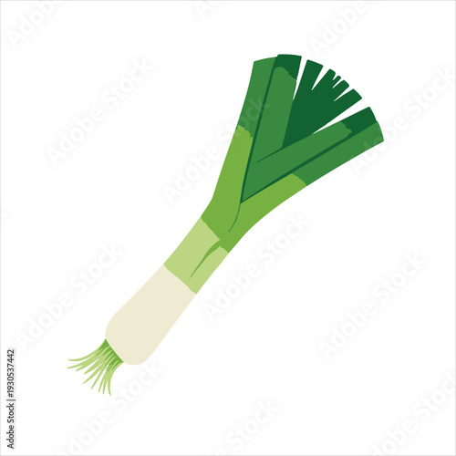  Leek vegetable illustration vector design