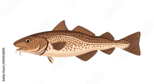A detailed illustration of a cod fish with brown and beige coloration presented as a silhouette high quality professional modern elegant