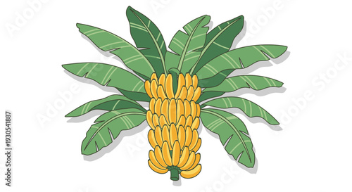 A vibrant illustration depicts a banana bunch with lush green leaves exhibiting a distinct silhouette high quality professional detailed modern elegant