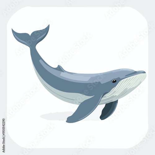 Cartoon whale illustration isolated on white background