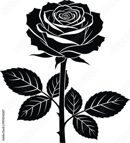 Black and White Line Rose with Leaves flower stem thorns
