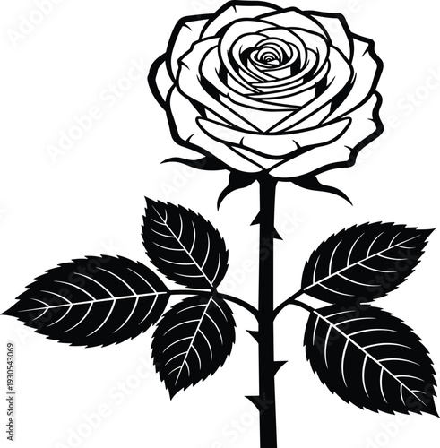 Black and white of a rose with thorns and leaves flower