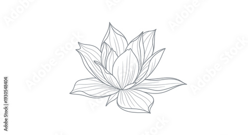 Black and white lily flower vector illustration 