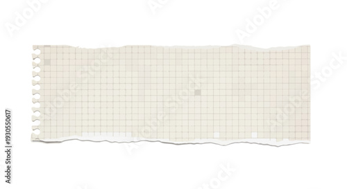 Torn light brown graph paper strip with spiral bound edge isolated on white background