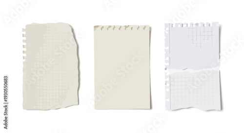 Set of 3 Torn Graph Paper Notes Isolated on White Background