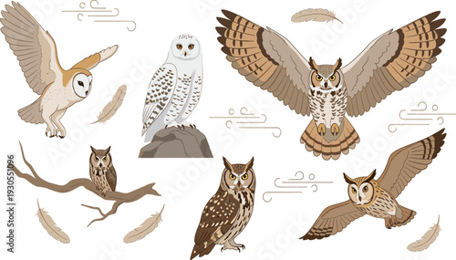 Detailed Vintage Owl Illustrations Set with Flying Perched and Poses Feathers Branches and Decorative Swirls, Realistic Hand-Drawn Nocturnal Birds Nature Forest and Mystery Designs