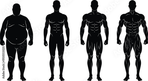 Male body type silhouettes progression showing overweight, lean fit, muscular, and highly defined physique stages, black vector icons illustrating fitness, health, and bodybuilding transformation