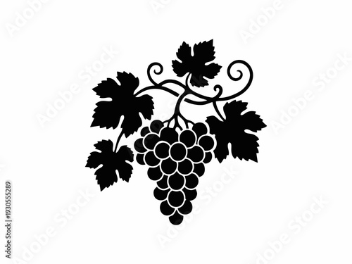 Black Grapes Silhouette with Leaves and Vine Tendrils Isolated on White Background