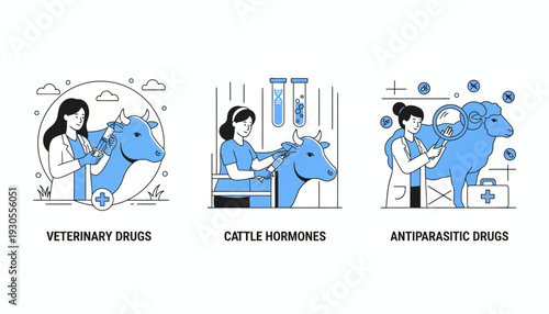 Veterinarians administer antiparasitic drugs and hormones to cattle in a farm