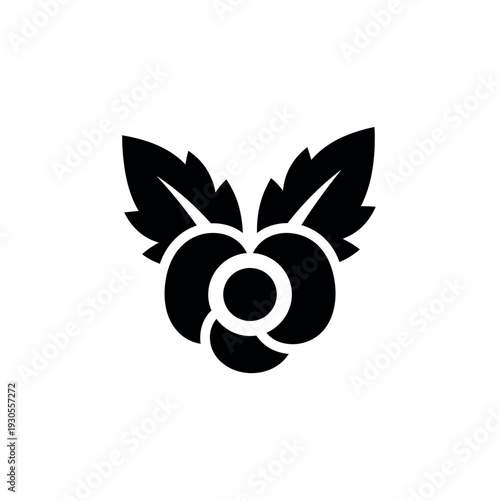 Raspberry Pi logo icon.