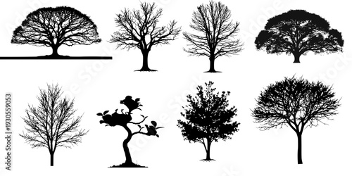 Detailed tree silhouettes of various trees on transparent background.