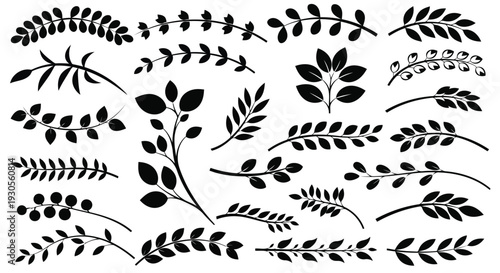 Intricate black and white illustrations of various types of leaves and plants