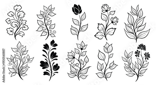 Adobe Illustrator Artwork